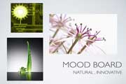 Mood Board: Natural, Innovative Thumbnail