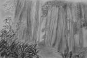 Charcoal Forest Scene Sketch Thumbnail